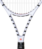 Vöstra V6